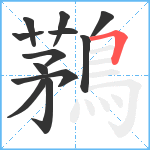 鶜笔顺分解图片12