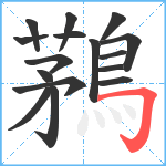 鶜笔顺分解图片16