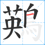 鶧笔顺分解图片13