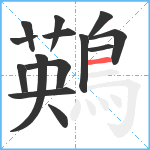 鶧笔顺分解图片14