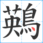 鶧笔顺分解图片20