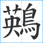 鶧笔顺分解图片21