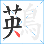 鶧笔顺分解图片9