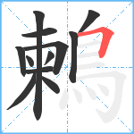 鶫笔顺分解图片12