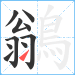 鶲笔顺分解图片10