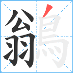 鶲笔顺分解图片11