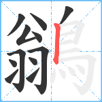 鶲笔顺分解图片12