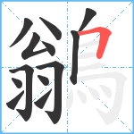 鶲笔顺分解图片13