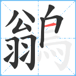 鶲笔顺分解图片14