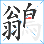 鶲笔顺分解图片15