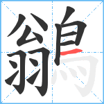 鶲笔顺分解图片16