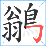 鶲笔顺分解图片17