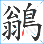 鶲笔顺分解图片18