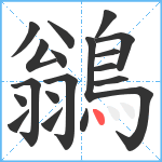 鶲笔顺分解图片19