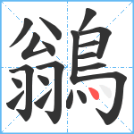 鶲笔顺分解图片20