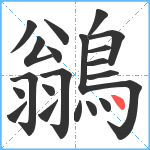 鶲笔顺分解图片21