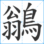 鶲笔顺分解图片22