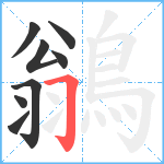 鶲笔顺分解图片8