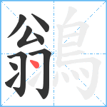 鶲笔顺分解图片9