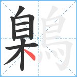 鷍笔顺分解图片10