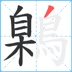 鷍笔顺分解图片11