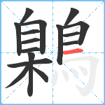 鷍笔顺分解图片16