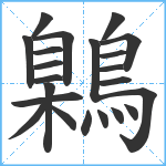 鷍笔顺分解图片22