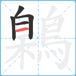 鷍笔顺分解图片5