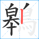 鷎笔顺分解图片12