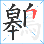 鷎笔顺分解图片13