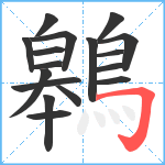 鷎笔顺分解图片17