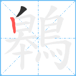 鷎笔顺分解图片2