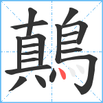 鷏笔顺分解图片19