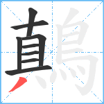 鷏笔顺分解图片9