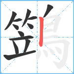 鷑笔顺分解图片13