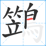 鷑笔顺分解图片16