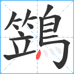 鷑笔顺分解图片19