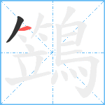 鷑笔顺分解图片2
