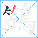 鷑笔顺分解图片4