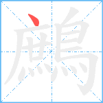 鷓笔顺分解图片1
