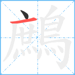 鷓笔顺分解图片2