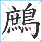 鷓笔顺分解图片21