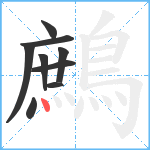 鷓笔顺分解图片9