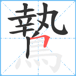 鷙笔顺分解图片14