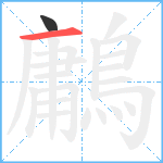 鷛笔顺分解图片2