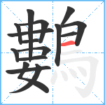 鷜笔顺分解图片16