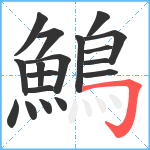 鷠笔顺分解图片18