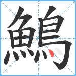 鷠笔顺分解图片21