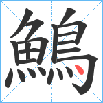 鷠笔顺分解图片22