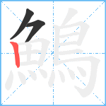 鷠笔顺分解图片3